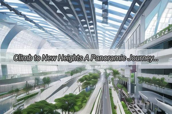 Climb to New Heights A Panoramic Journey Across Guangzhous Skyline